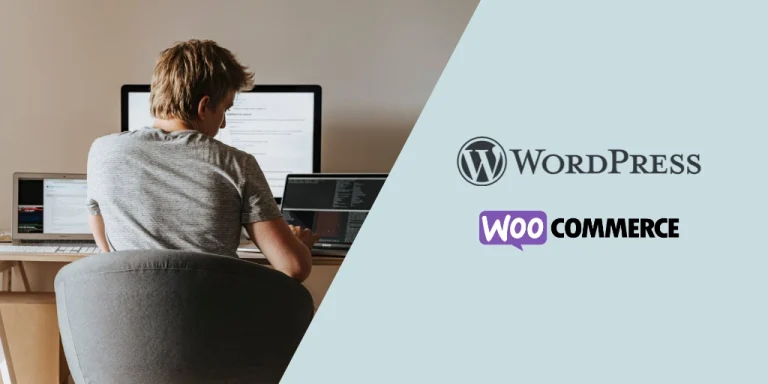 Cómo añadir un snippet en WordPress